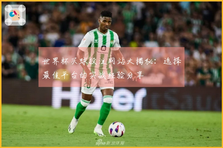 世界杯买球投注网站大揭秘：选择最佳平台的实战经验分享