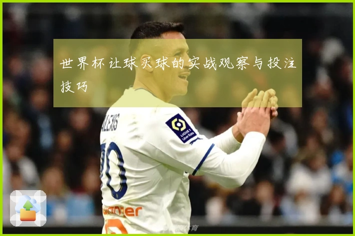 世界杯让球买球的实战观察与投注技巧