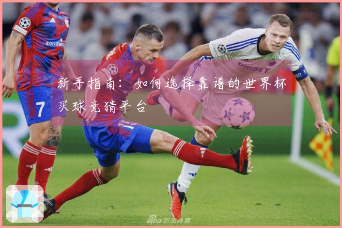 新手指南：如何选择靠谱的世界杯买球竞猜平台