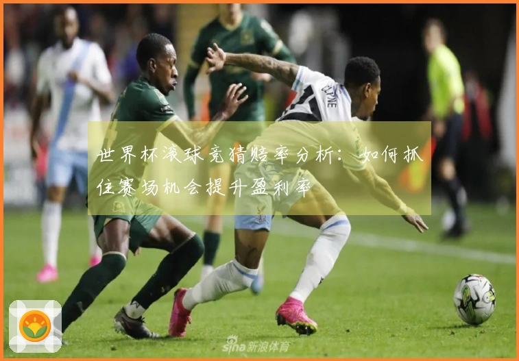 世界杯滚球竞猜赔率分析：如何抓住赛场机会提升盈利率