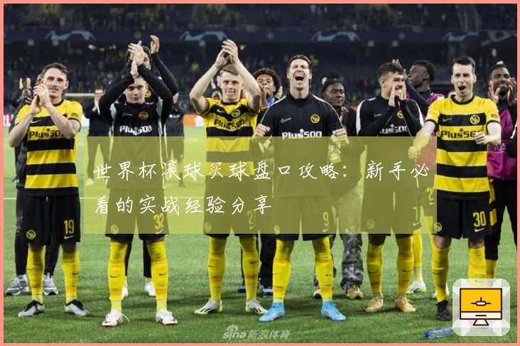 世界杯滚球买球盘口攻略：新手必看的实战经验分享