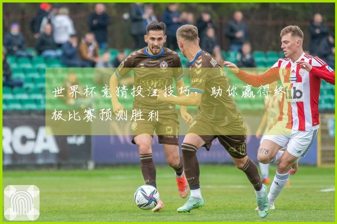 世界杯竞猜投注技巧，助你赢得终极比赛预测胜利