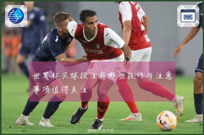 世界杯买球投注有哪些技巧与注意事项值得关注