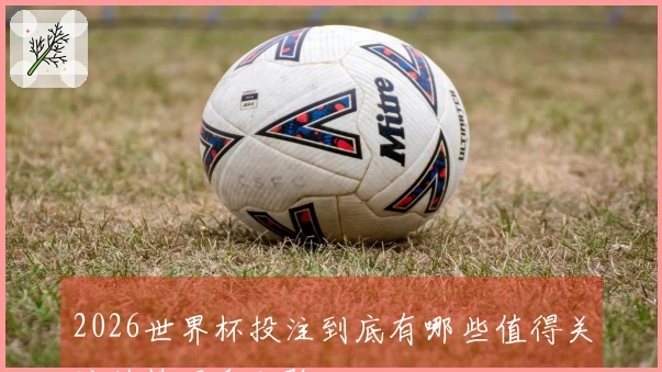 2026世界杯投注到底有哪些值得关注的技巧和经验