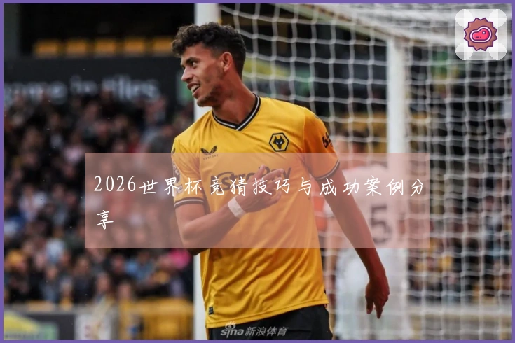 2026世界杯竞猜技巧与成功案例分享