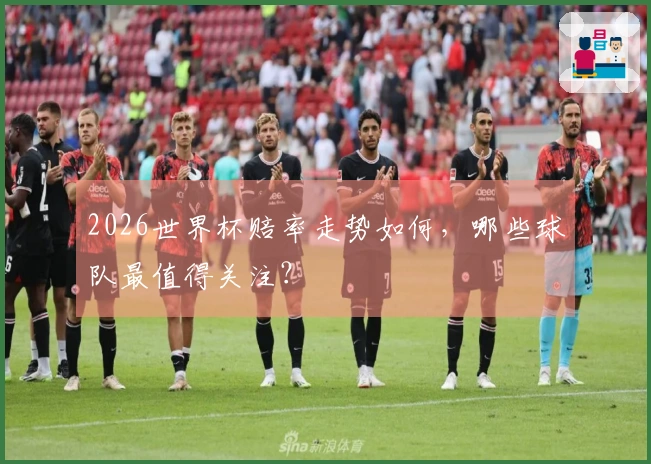 2026世界杯赔率走势如何，哪些球队最值得关注？