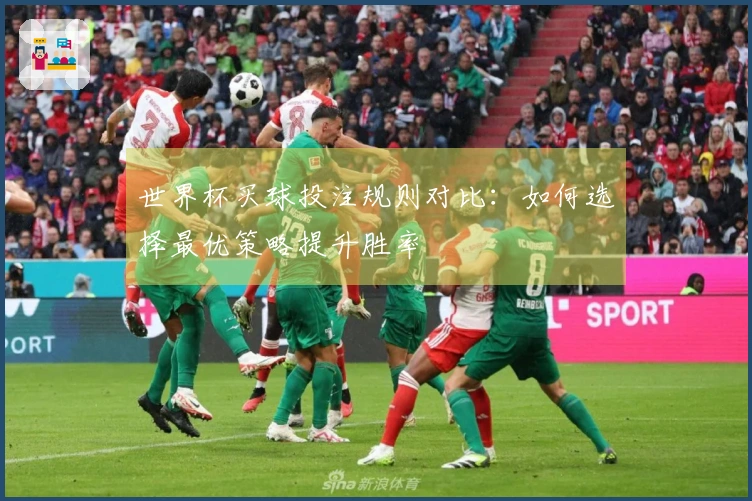 世界杯买球投注规则对比：如何选择最优策略提升胜率