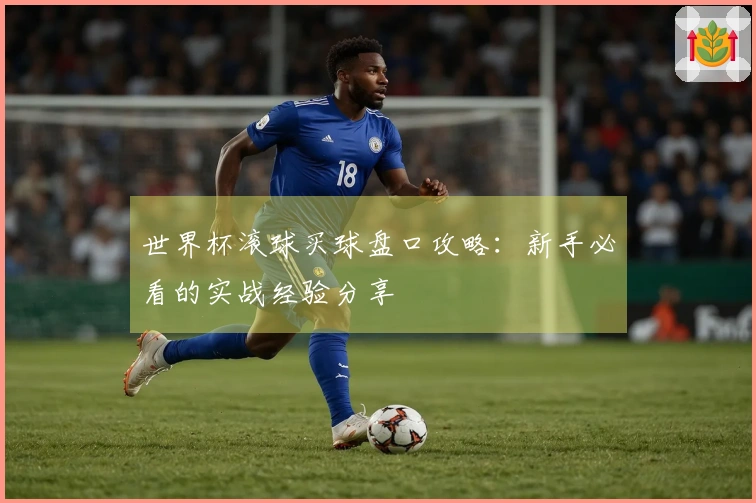 世界杯滚球买球盘口攻略：新手必看的实战经验分享
