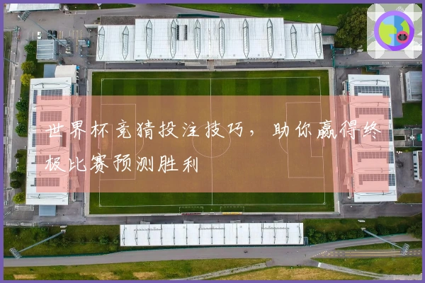 世界杯竞猜投注技巧，助你赢得终极比赛预测胜利