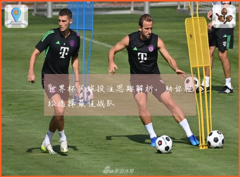 世界杯买球投注思路解析，助你轻松选择最佳战队