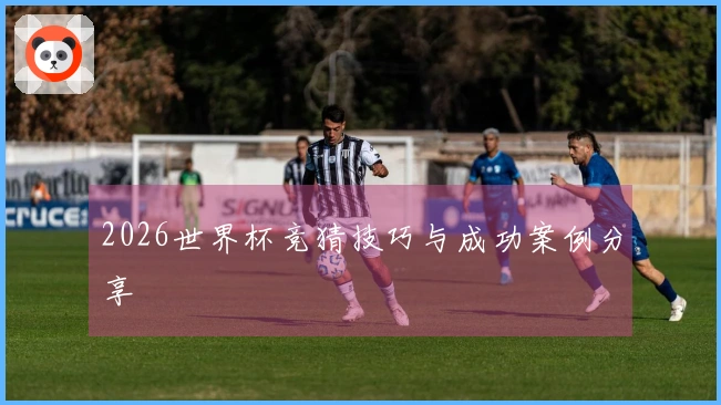 2026世界杯竞猜技巧与成功案例分享