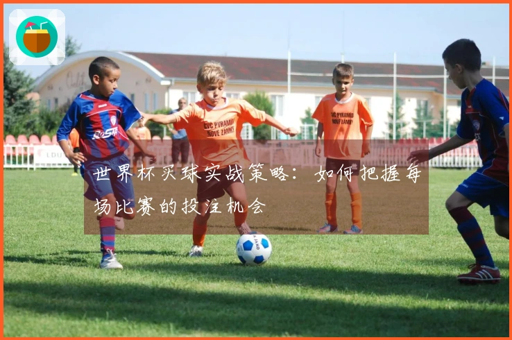 世界杯买球实战策略：如何把握每场比赛的投注机会